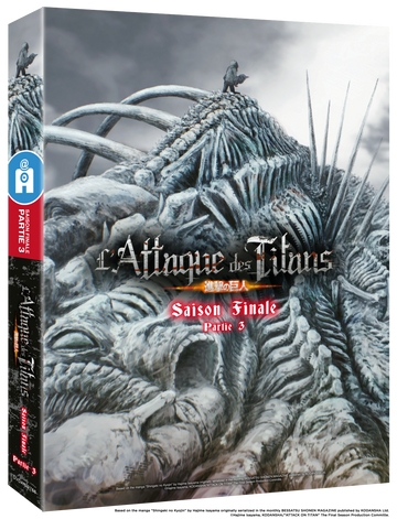 L'Attaque des Titans - Saison Finale - Partie 3 - Edition Collector DVD