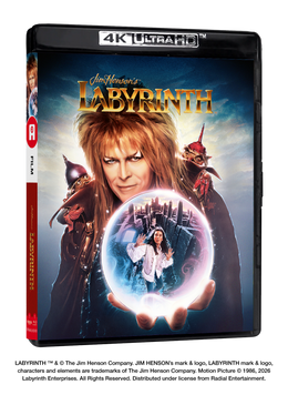 Labyrinthe - Édition 4K