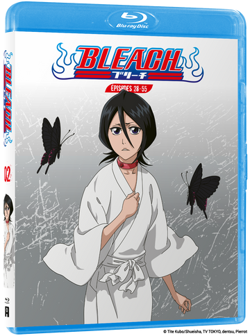 Bleach - Edition Blu-ray - Volume 2