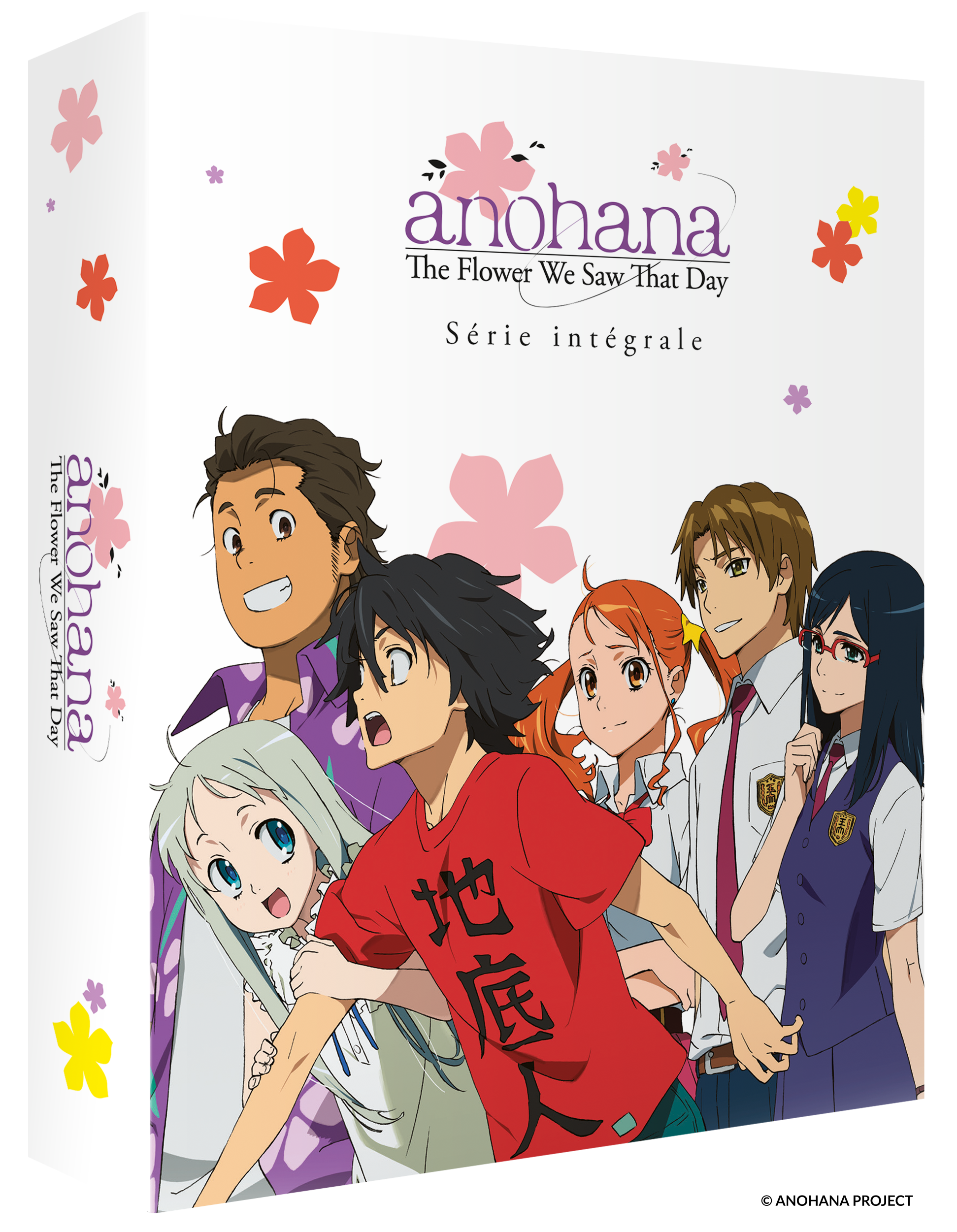 Anohana The Flower We Saw That Day - Édition Collector Intégrale DVD