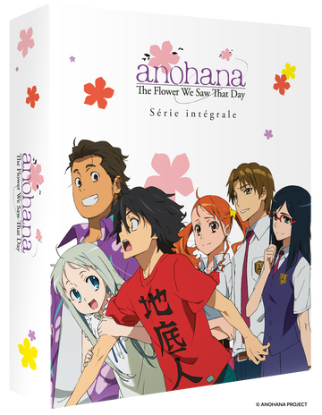 Anohana The Flower We Saw That Day - Édition Collector Intégrale Blu-ray
