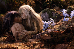 Dark Crystal - Édition DVD