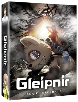 Gleipnir - Edition Intégrale Saison 1 - DVD